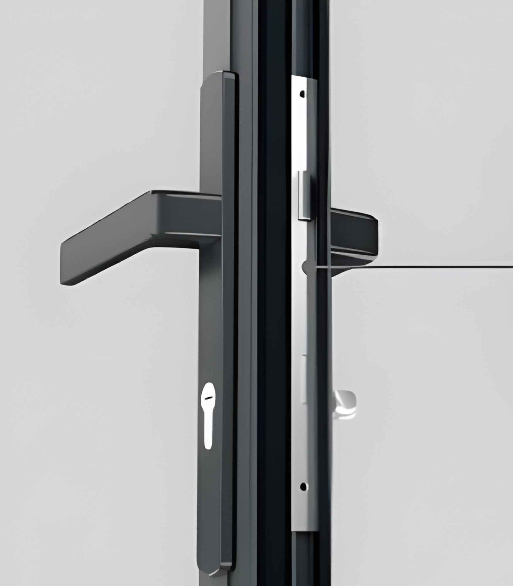 VLX 100 Swing / Entry Door in Boca Raton, FL | TruePane Windows & Doors - detail 5